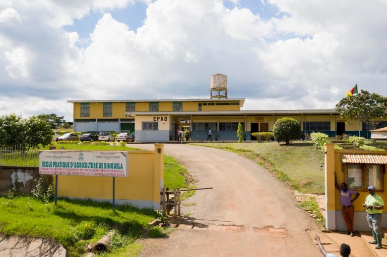 ECOLE PRATIQUE D’AGRICULTURE DE BINGUELA